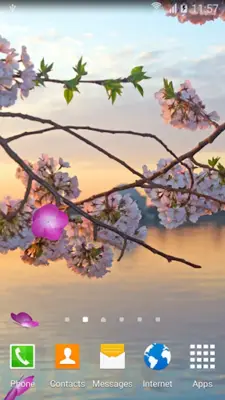 Sakura Garden Live Wallpaper android App screenshot 9